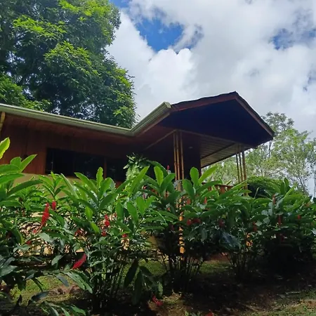 Gambas Lodge La Fortuna Extérieur photo